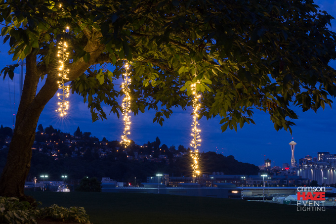 Garland Fairy Lights by Crimson Haze Event Lighting